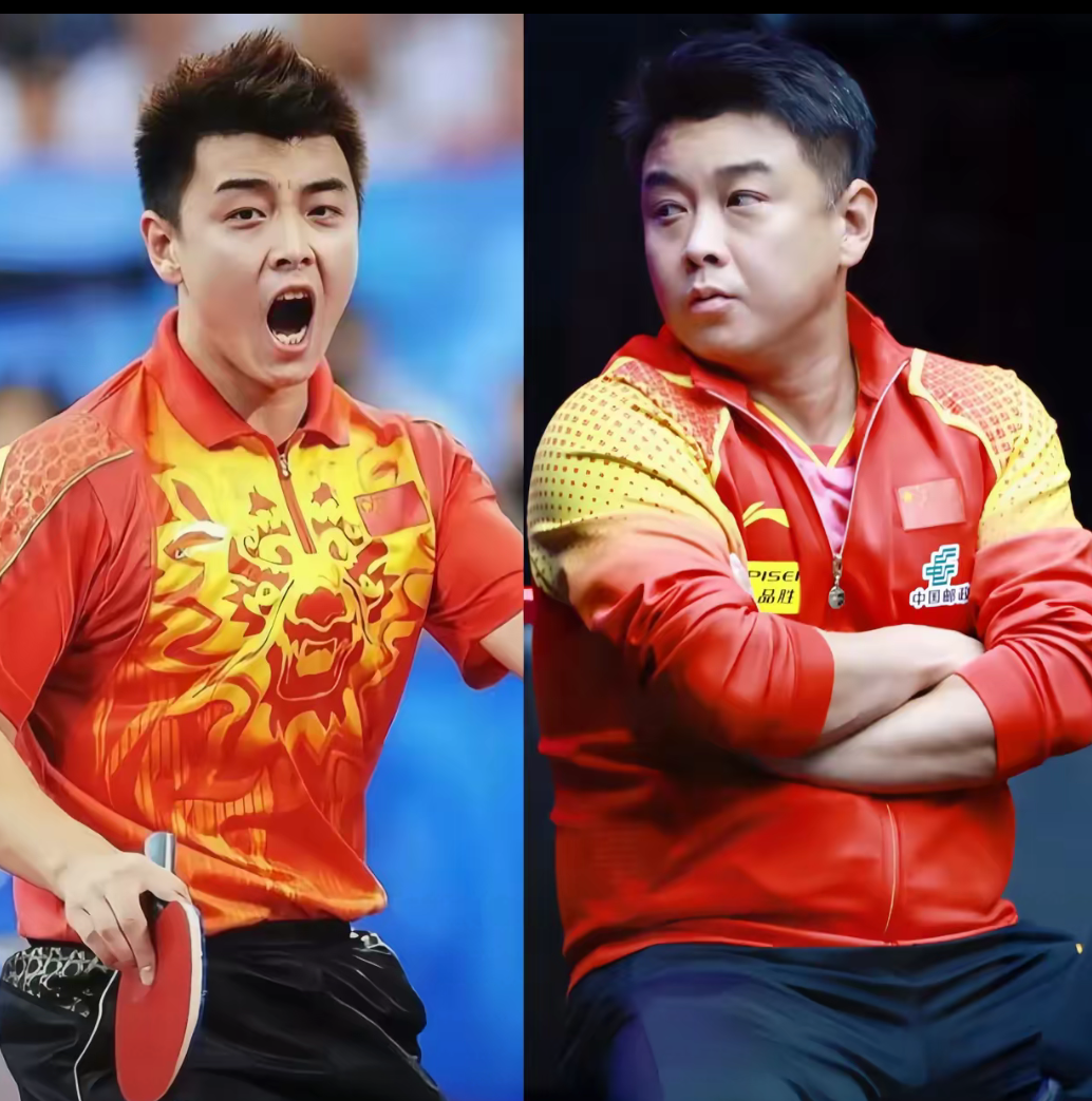 中国队鏖战法国队，王皓惊艳四座的简单介绍