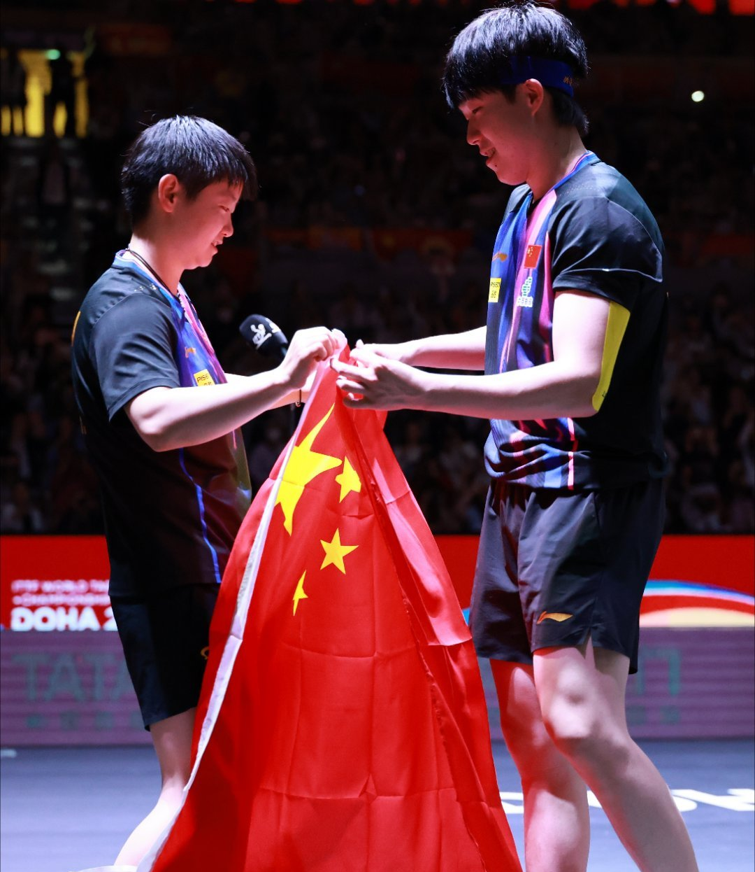 中国队鏖战法国队，王皓惊艳四座的简单介绍