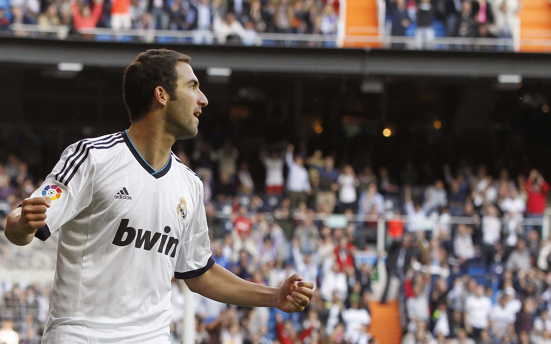 冰火交锋，从美加墨世界杯焦点战到森林狼的冠军之路